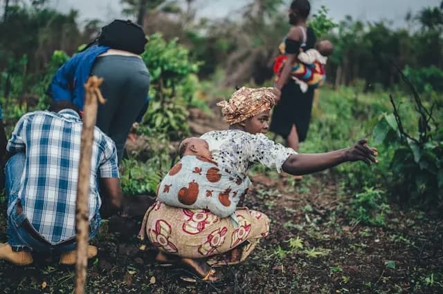 AgroTrack Nigeria